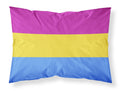 Pansexual Pride Standard Pillowcase Lightweight Super Soft Easy Care Decorative Artwork Pillowcase, Standard