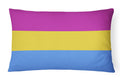 Pansexual Pride Decorative Throw Pillow 12x16 Indoor Outdoor Accent Cushion, Fabric Cover with Insert for Sofa, Bed, Porch & Living Room