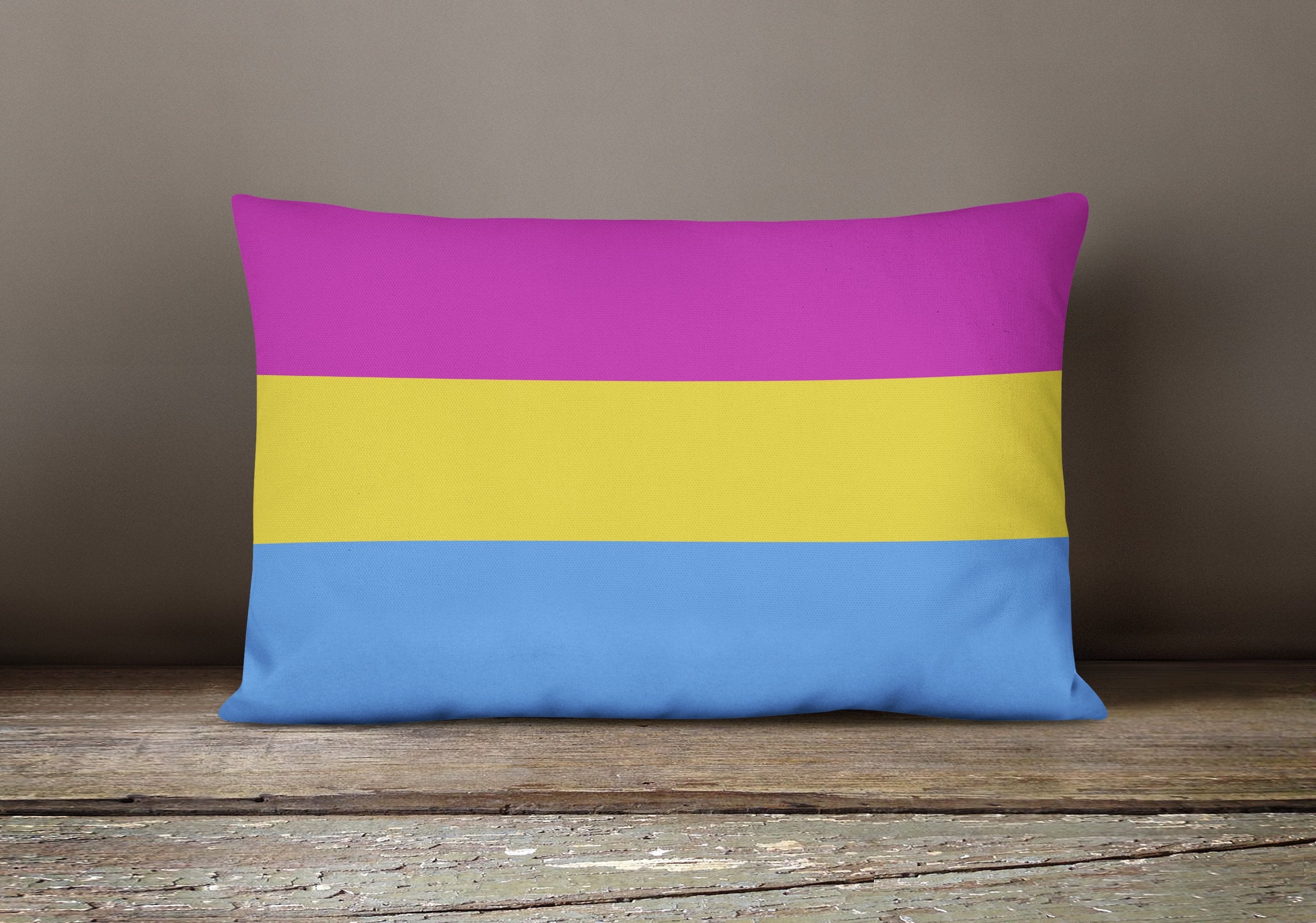 Pansexual Pride Decorative Throw Pillow 12x16 Indoor Outdoor Accent Cushion, Fabric Cover with Insert for Sofa, Bed, Porch & Living Room