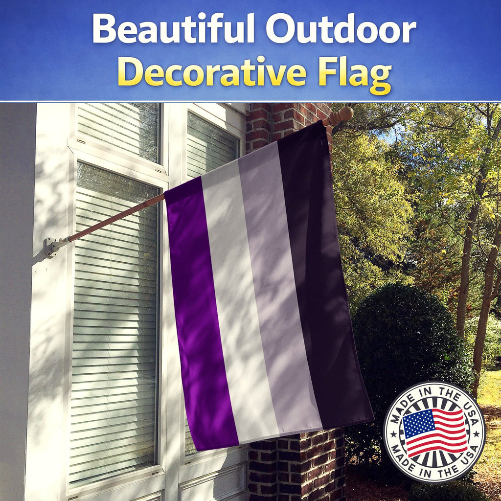 Asexual Pride House Flag 28x40 Porch Sleeve Pole Decorative Outside Yard Banner Artwork Wall Hanging, Polyester