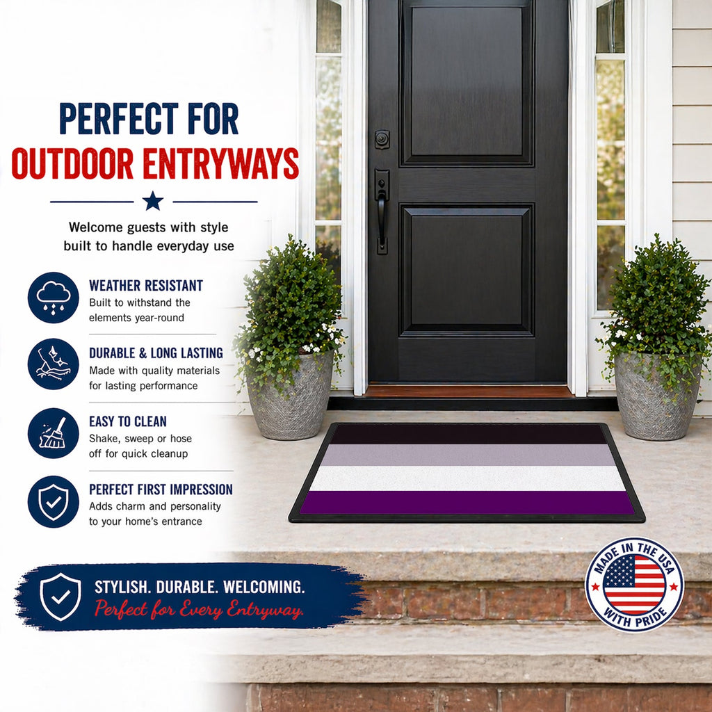 Asexual Pride Doormat Indoor Outdoor 24H X 36W Front Door Mat Rugs for Entryway, Non Slip Washable Low Pile,