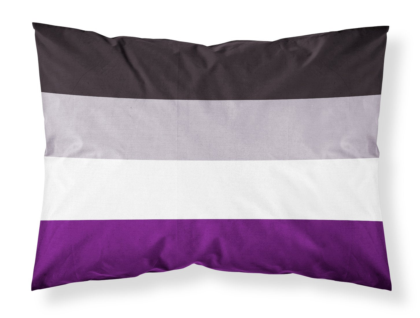 Asexual Pride Standard Pillowcase Lightweight Super Soft Easy Care Decorative Artwork Pillowcase, Standard