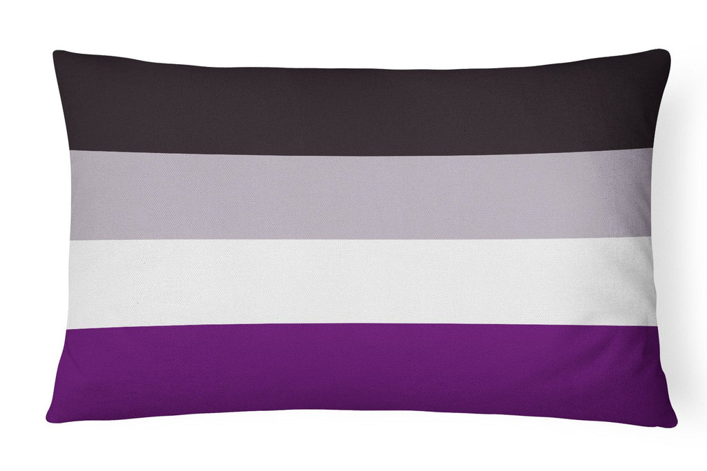 Asexual Pride Decorative Throw Pillow 12x16 Indoor Outdoor Accent Cushion, Fabric Cover with Insert for Sofa, Bed, Porch & Living Room