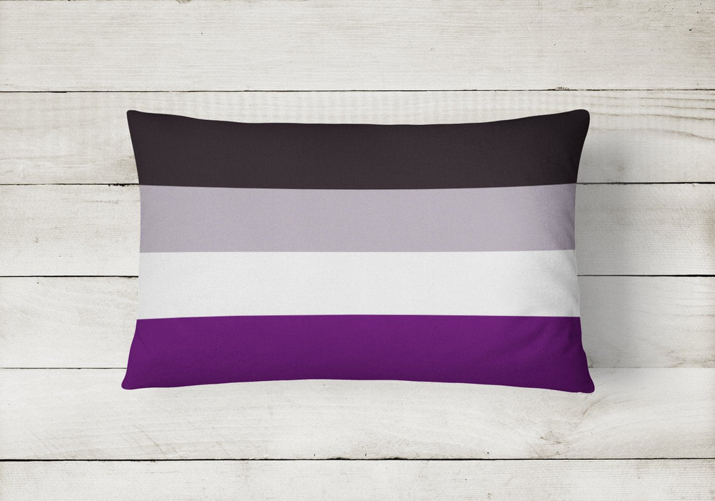 Asexual Pride Decorative Throw Pillow 12x16 Indoor Outdoor Accent Cushion, Fabric Cover with Insert for Sofa, Bed, Porch & Living Room