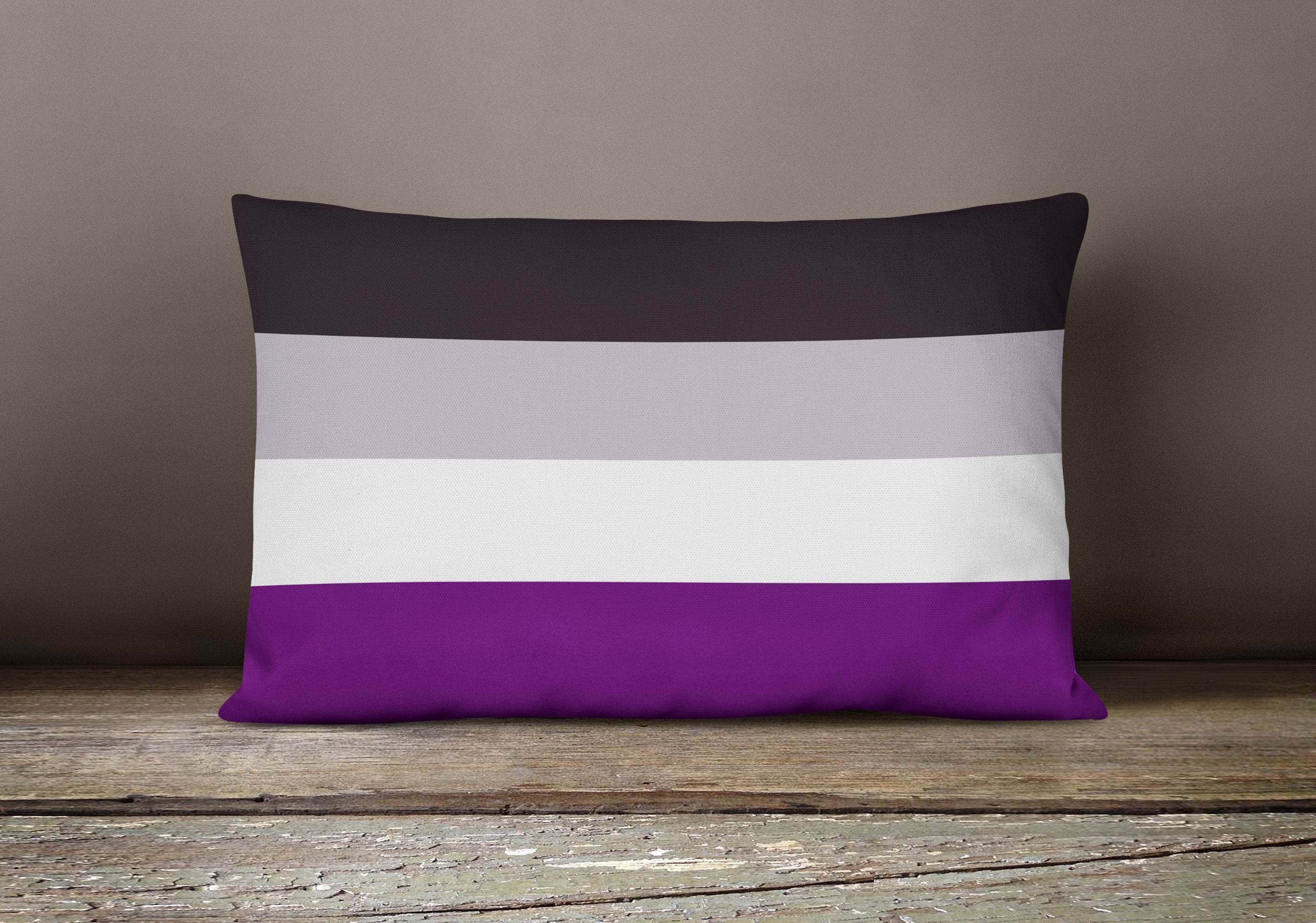 Asexual Pride Decorative Throw Pillow 12x16 Indoor Outdoor Accent Cushion, Fabric Cover with Insert for Sofa, Bed, Porch & Living Room