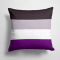 Asexual Pride Decorative Throw Pillow 14x14 Indoor Outdoor Accent Cushion, Fabric Cover with Insert for Sofa, Bed, Porch & Living Room