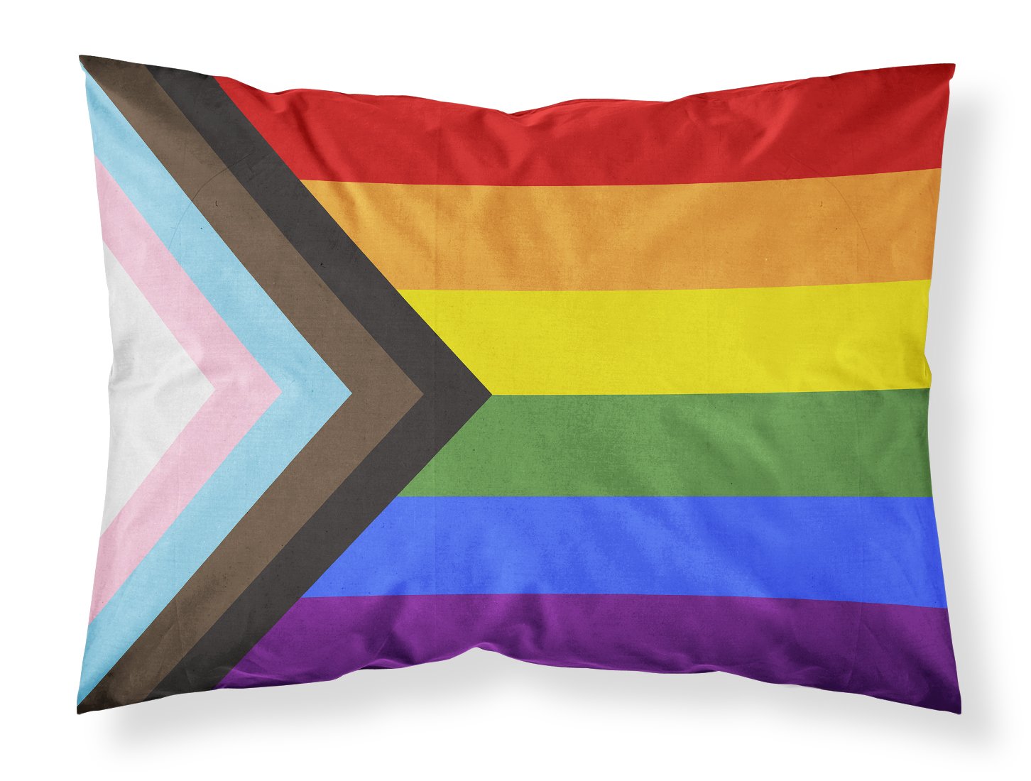 Gay Pride Progress Pride Standard Pillowcase Lightweight Super Soft Easy Care Decorative Artwork Pillowcase, Standard