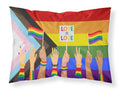 Gay Pride Parade Progress Pride Standard Pillowcase Lightweight Super Soft Easy Care Decorative Artwork Pillowcase, Standard