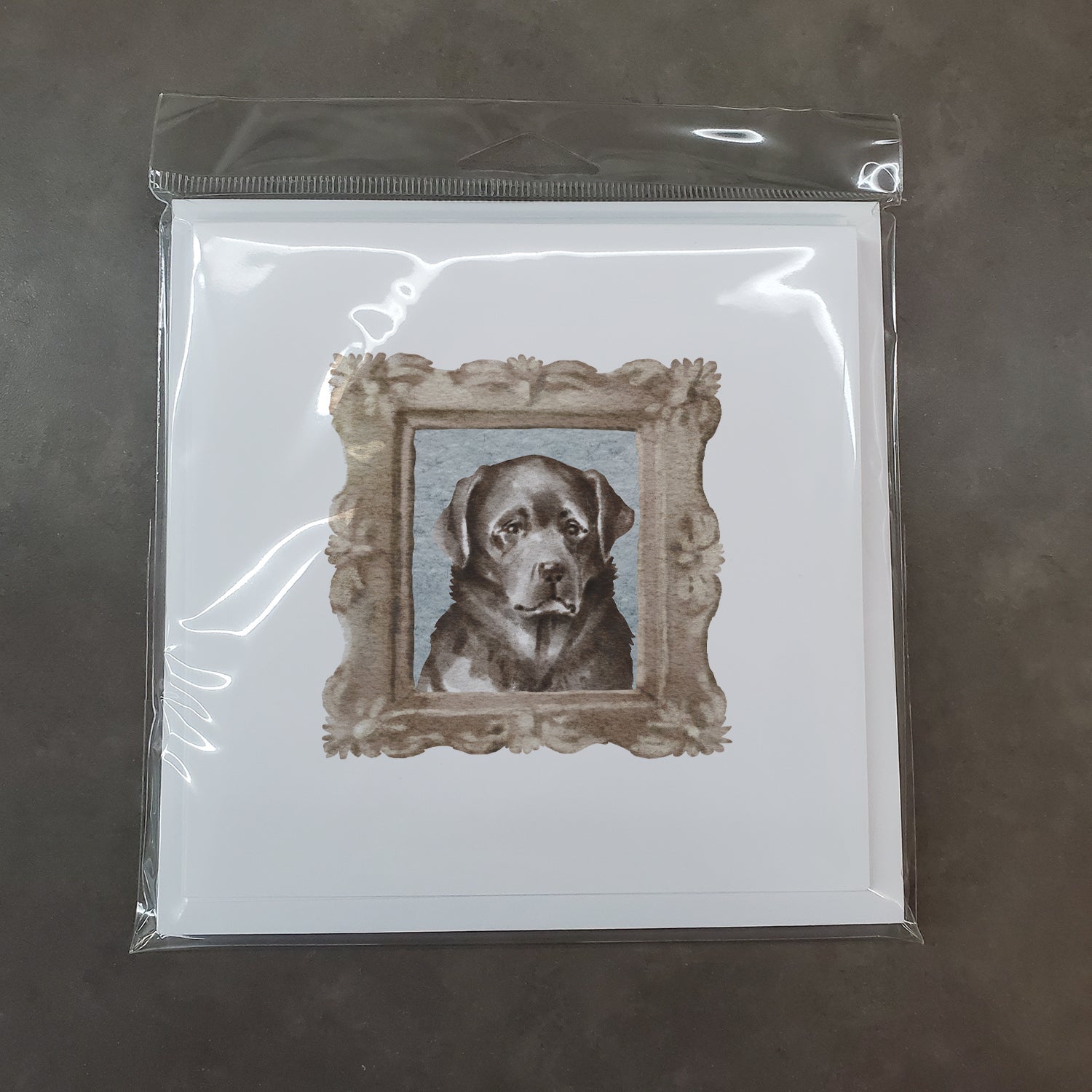 Labrador Retriever Black Front View Pretty as a Picture Square Greeting Cards and Envelopes Pack of 8 Blank Cards with Envelopes Blank Thank You Note Greeting Cards Stationery