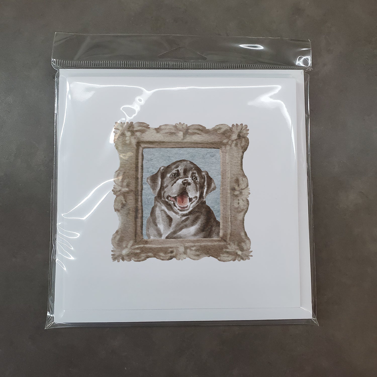 Labrador Retriever Black Puppy Smile Pretty as a Picture Square Greeting Cards and Envelopes Pack of 8 Blank Cards with Envelopes Blank Thank You Note Greeting Cards Stationery