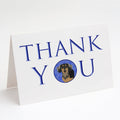 Chihuahua Black and Tan #4 Thank You Greeting Cards Pack of 8 Blank Cards with Envelopes Whimsical A7 Size 5x7