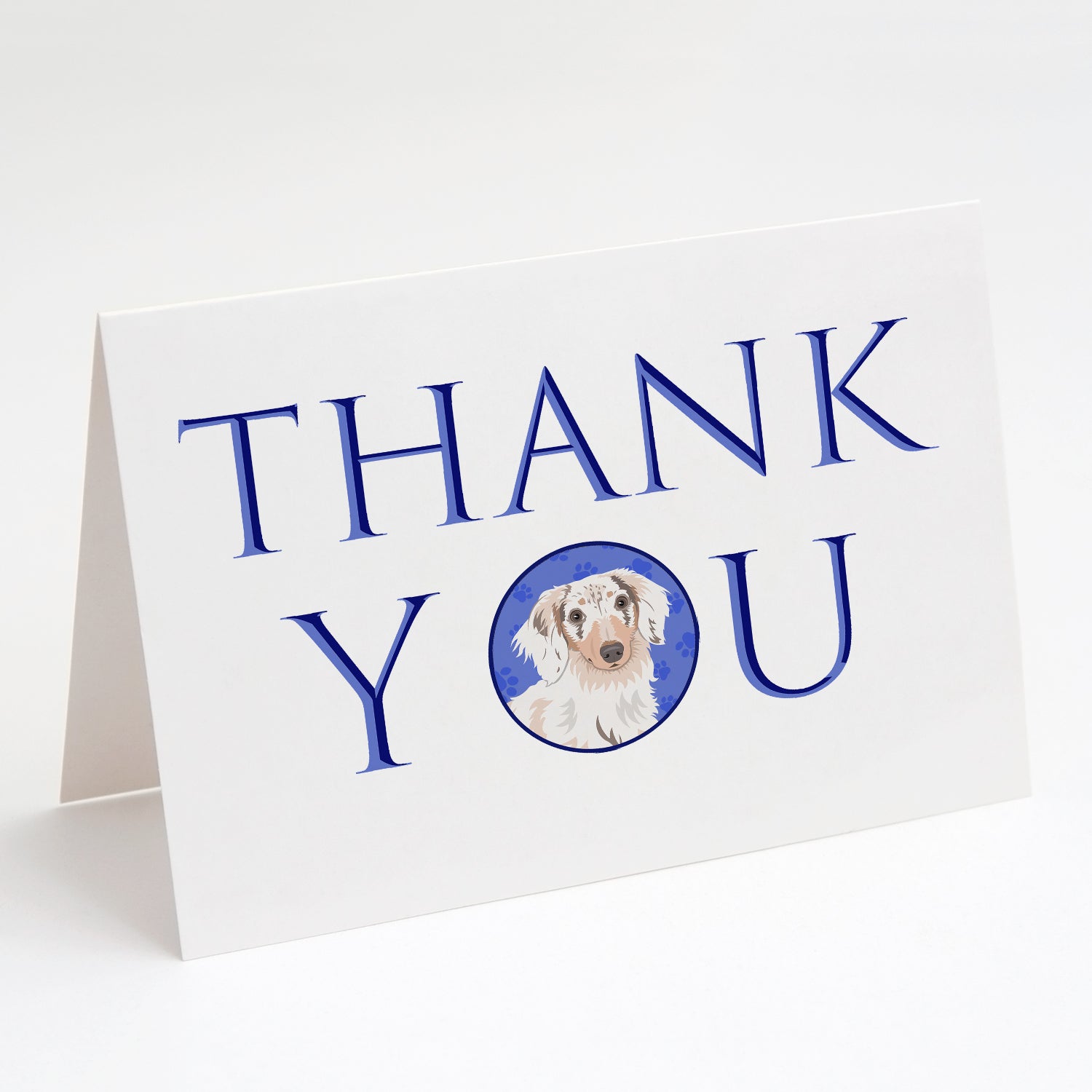 Chihuahua Dapple #2 Thank You Greeting Cards Pack of 8 Blank Cards with Envelopes Whimsical A7 Size 5x7