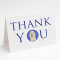 Doodle Cream #5 Thank You Greeting Cards Pack of 8 Blank Cards with Envelopes Whimsical A7 Size 5x7
