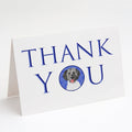 Doodle Silver #3 Thank You Greeting Cards Pack of 8 Blank Cards with Envelopes Whimsical A7 Size 5x7