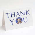 English Bulldog Tricolor #4 Thank You Greeting Cards Pack of 8 Blank Cards with Envelopes Whimsical A7 Size 5x7