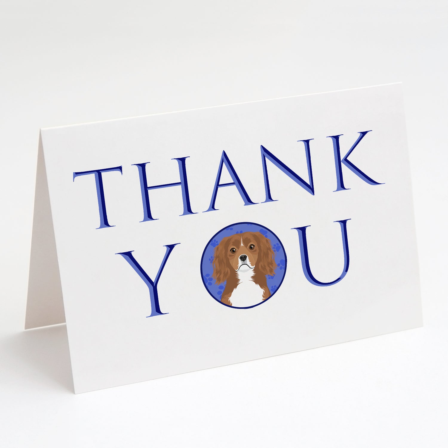 Cavalier King Charles Spaniel Ruby Thank You Greeting Cards Pack of 8 Blank Cards with Envelopes Whimsical A7 Size 5x7