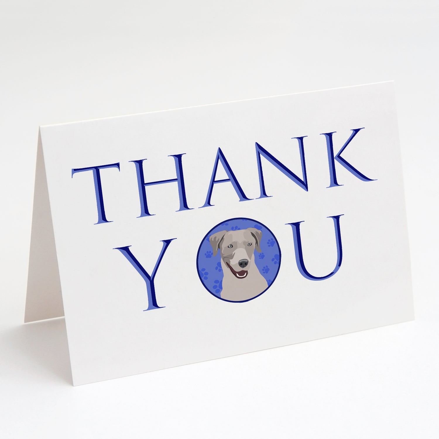 Labrador Retriever Gray Thank You Greeting Cards Pack of 8 Blank Cards with Envelopes Whimsical A7 Size 5x7