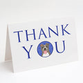 Pit Bull Blue #2 Thank You Greeting Cards Pack of 8 Blank Cards with Envelopes Whimsical A7 Size 5x7