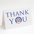 Shih-Tzu Gold #2 Thank You Greeting Cards Pack of 8 Blank Cards with Envelopes Whimsical A7 Size 5x7