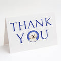 Shih-Tzu Gold #5 Thank You Greeting Cards Pack of 8 Blank Cards with Envelopes Whimsical A7 Size 5x7