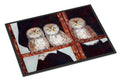 Owls by Ferris Hotard Doormat Indoor Outdoor 24H X 36W Front Door Mat Rugs for Entryway, Non Slip Washable Low Pile,