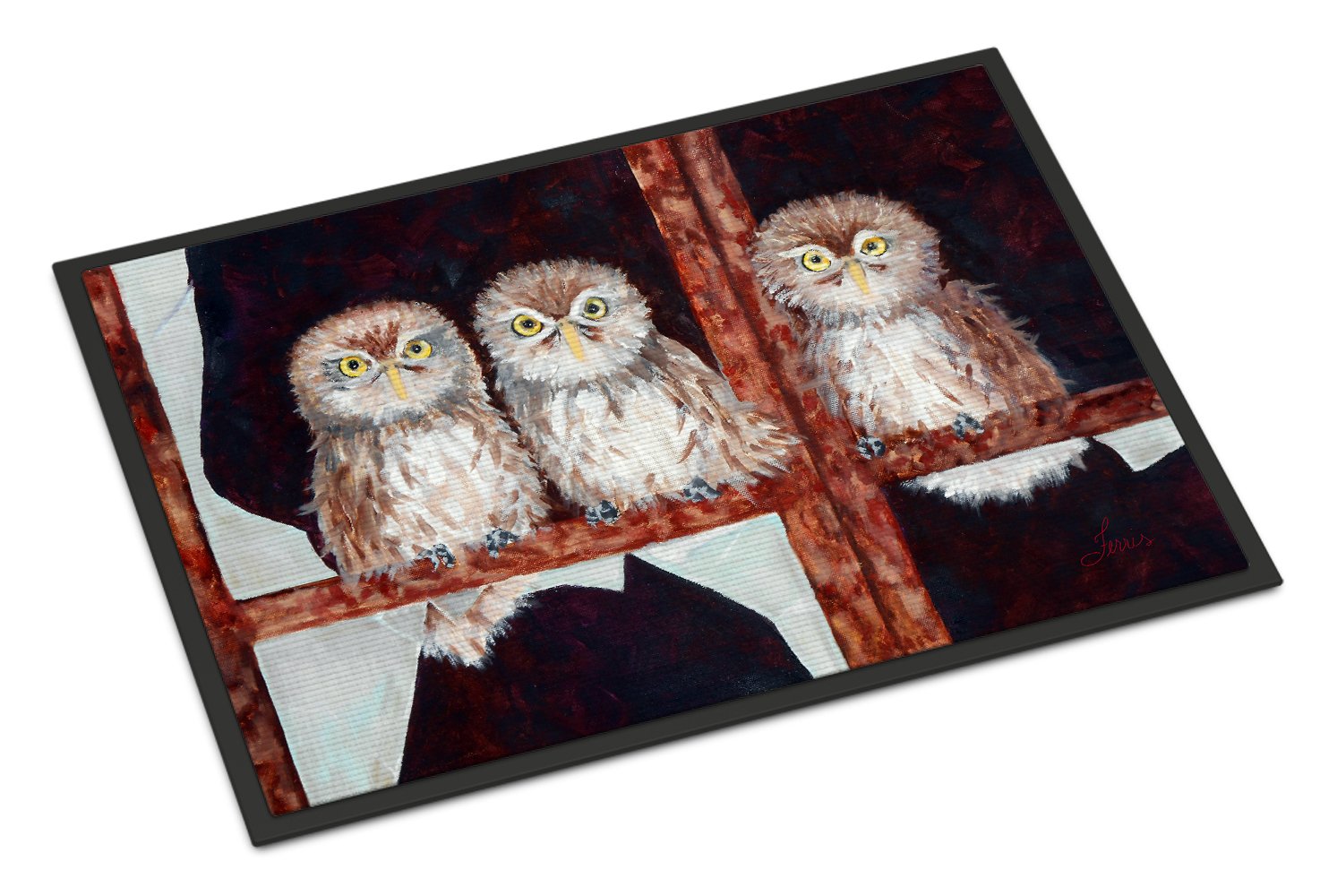 Owls by Ferris Hotard Doormat Indoor Outdoor 24H X 36W Front Door Mat Rugs for Entryway, Non Slip Washable Low Pile,