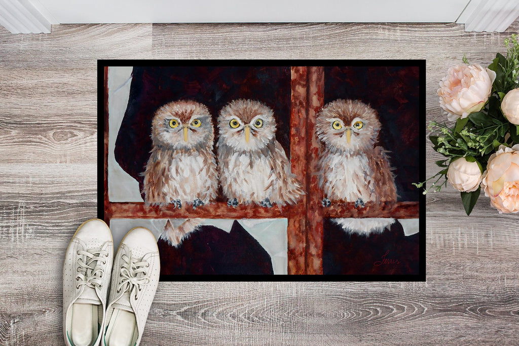 Owls by Ferris Hotard Doormat Indoor Outdoor 24H X 36W Front Door Mat Rugs for Entryway, Non Slip Washable Low Pile,
