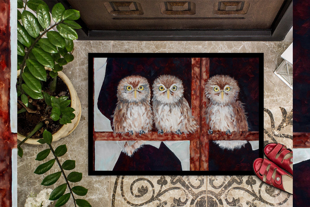 Owls by Ferris Hotard Doormat Indoor Outdoor 24H X 36W Front Door Mat Rugs for Entryway, Non Slip Washable Low Pile,