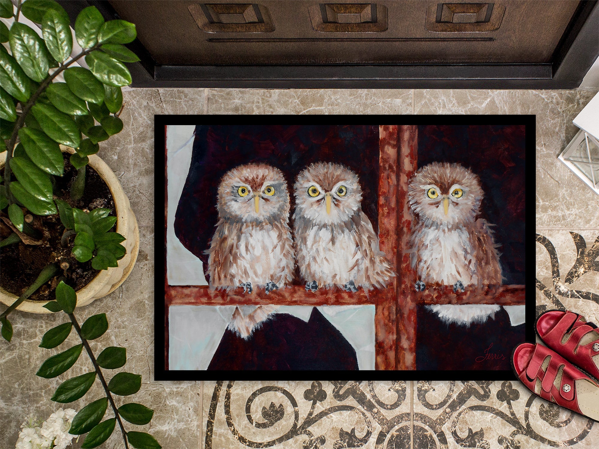 Owls by Ferris Hotard Doormat Indoor Outdoor 18H X 27W Front Door Mat Rugs for Entryway, Non Slip Washable