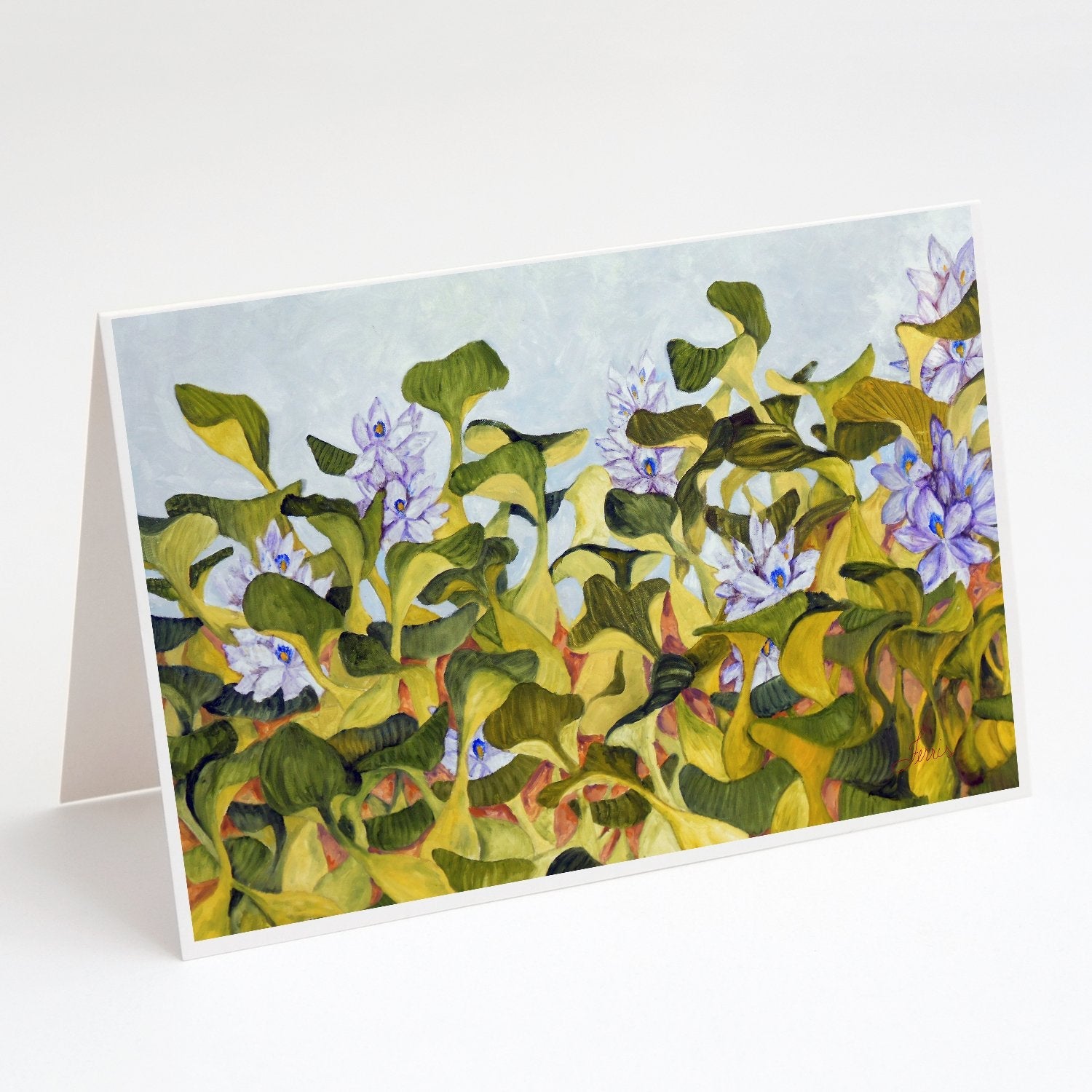 Water Hyacinth by Ferris Hotard Greeting Cards Pack of 8 Blank Cards with Envelopes Whimsical A7 Size 5x7