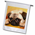 3dRose Dogs Pug - Pug - Flags (fl_3644)