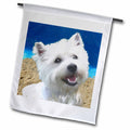 3dRose Dogs West Highland Terrier - West Highland Terrier - Flags (fl_4436)