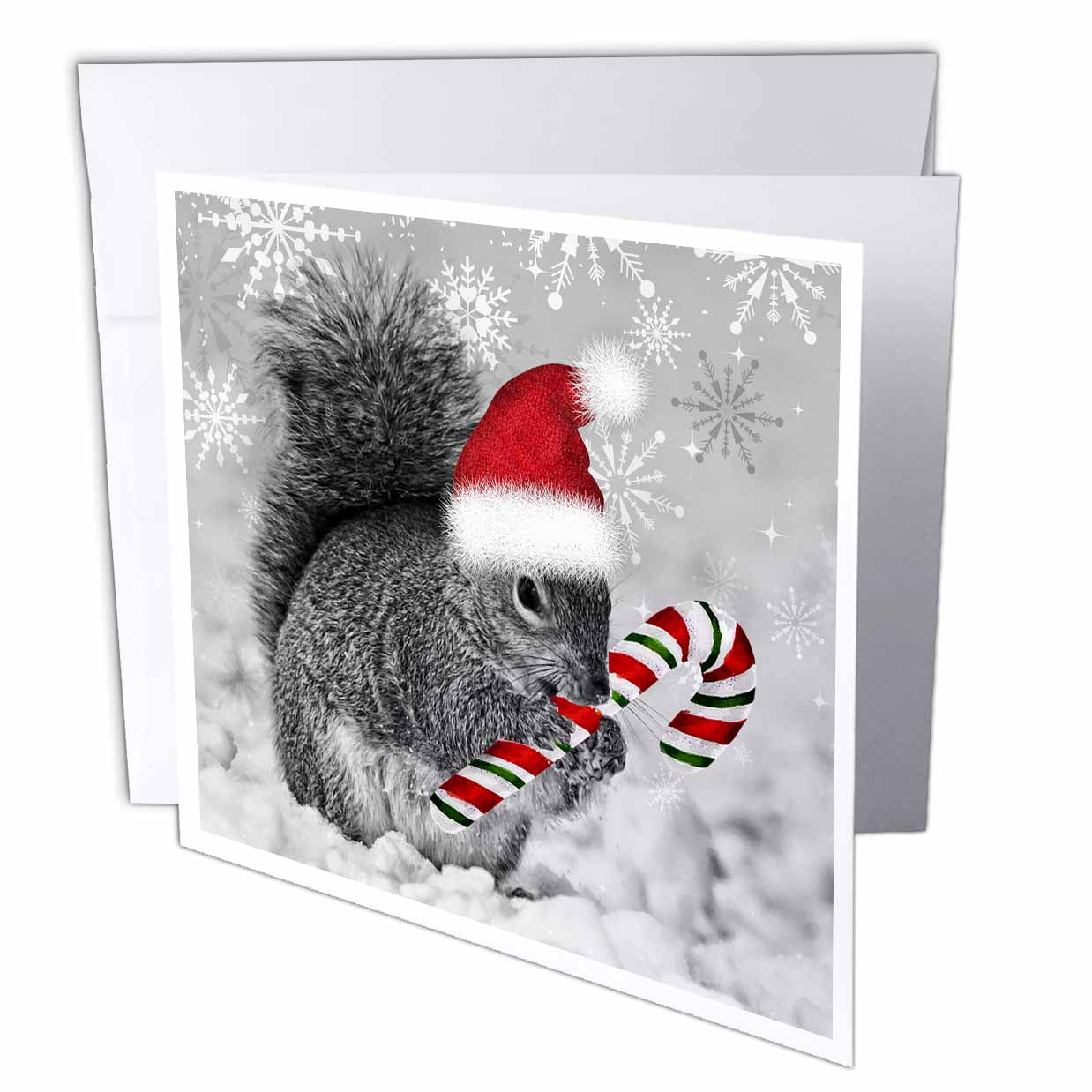 3dRose Doreen Erhardt Christmas Collection - This cute Christmas squirrel has a candy cane and a Santa hat in the snow covered winter landscape. - Greeting Cards (gc_150177)