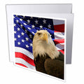 Sandy Mertens Patriotic - Bald Eagle and American Flag - Greeting Cards