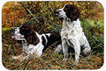 Two Springer Spaniels in the grasses Cutting Board Tempered Glass Kitchen Cutting Surface, Heat Resistant Chopping, Non-Slip Feet, Food Prep & Serving