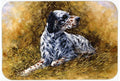 English Setter by Michael Herring Cutting Board Tempered Glass Kitchen Cutting Surface, Heat Resistant Chopping, Non-Slip Feet, Food Prep & Serving