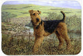 Airedale Terrier The Kings Country Cutting Board Tempered Glass Kitchen Cutting Surface, Heat Resistant Chopping, Non-Slip Feet, Food Prep & Serving