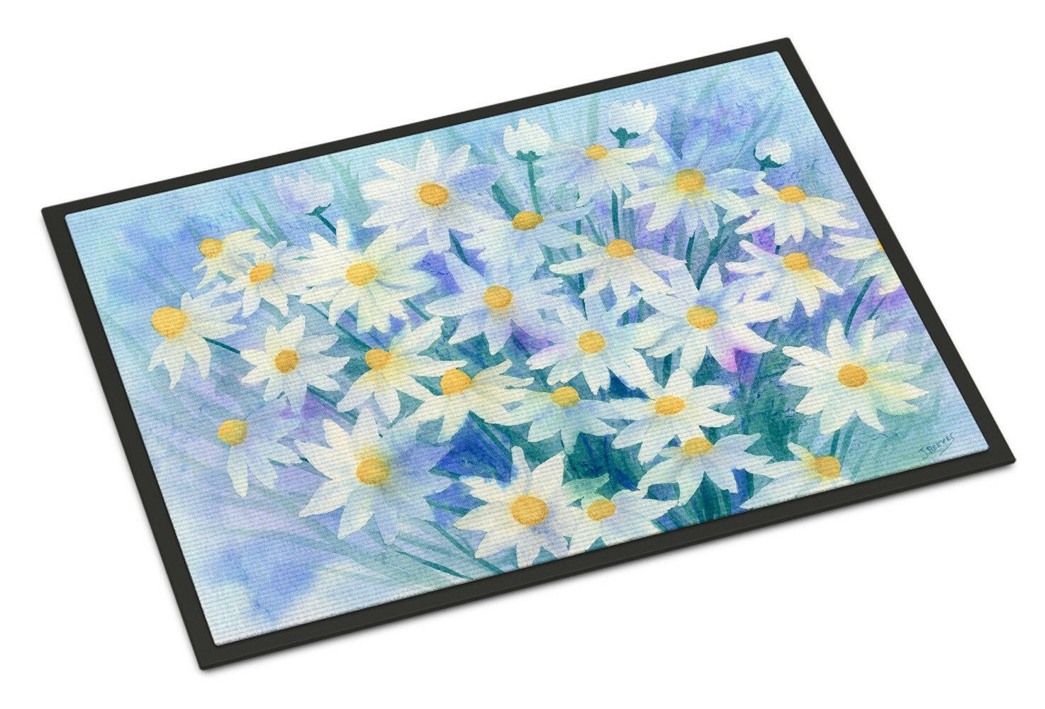 Light and Airy Daisies Doormat Indoor Outdoor 18H X 27W Front Door Mat Rugs for Entryway, Non Slip Washable