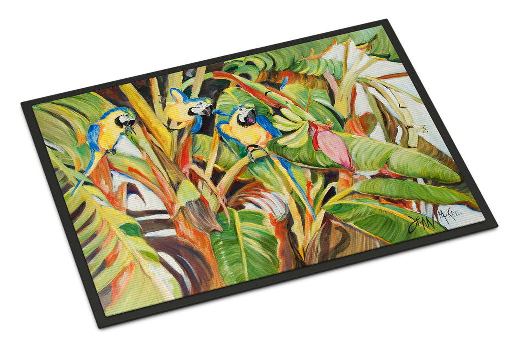 Three Blue Parrots Doormat Indoor Outdoor 24H X 36W Front Door Mat Rugs for Entryway, Non Slip Washable Low Pile,