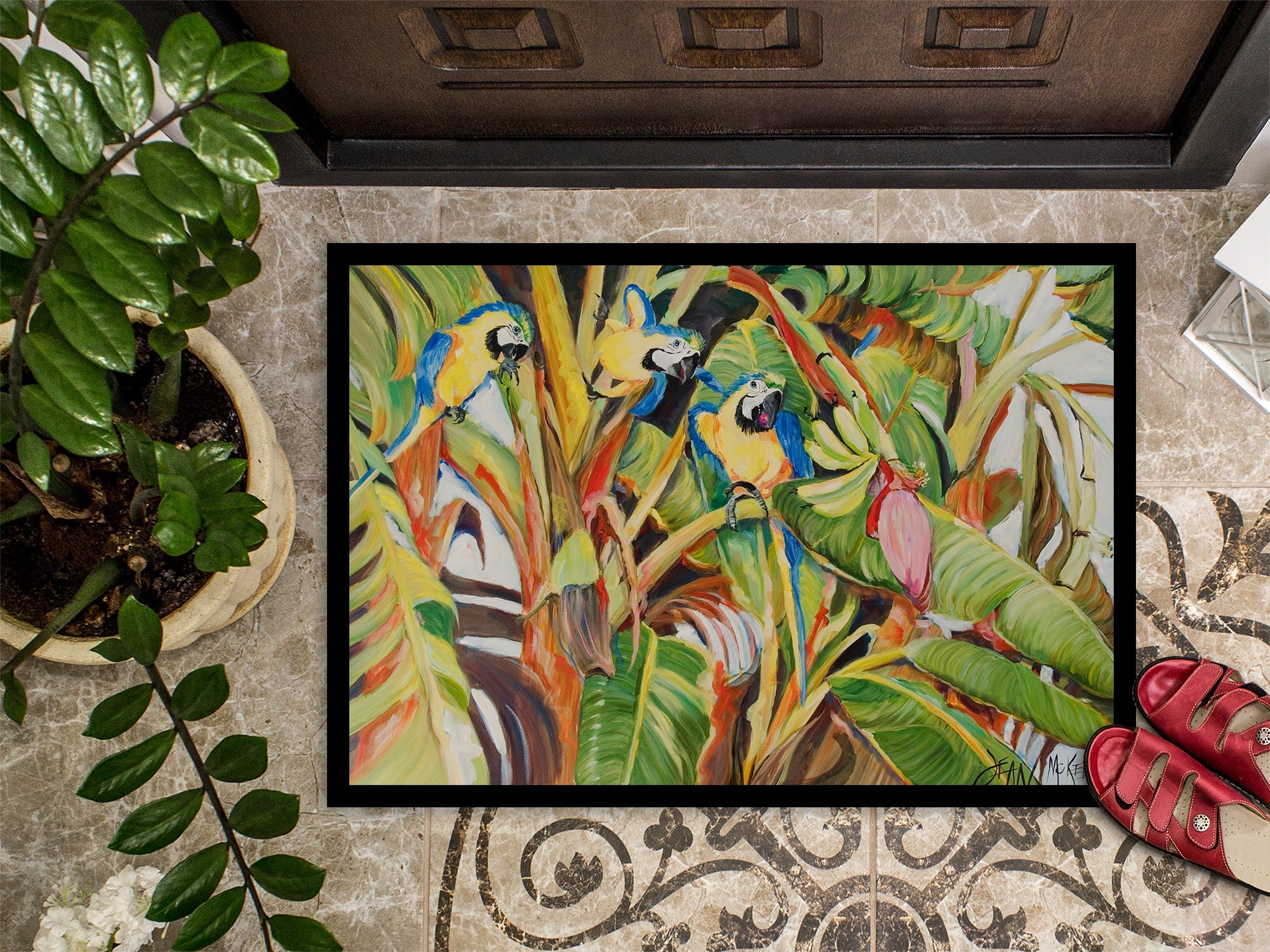 Three Blue Parrots Doormat Indoor Outdoor 24H X 36W Front Door Mat Rugs for Entryway, Non Slip Washable Low Pile,