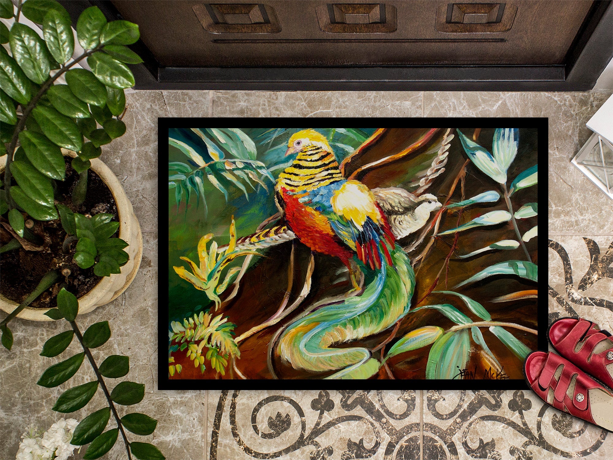 Mandarin Pheasant Doormat Indoor Outdoor 24H X 36W Front Door Mat Rugs for Entryway, Non Slip Washable Low Pile,
