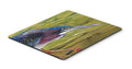 Green Heron Mouse Pad, Heat Resistant Trivet Hot Pad , Non Slip Rubber Desk Mat, Kitchen Counter Protector, Home Office Decor Gift