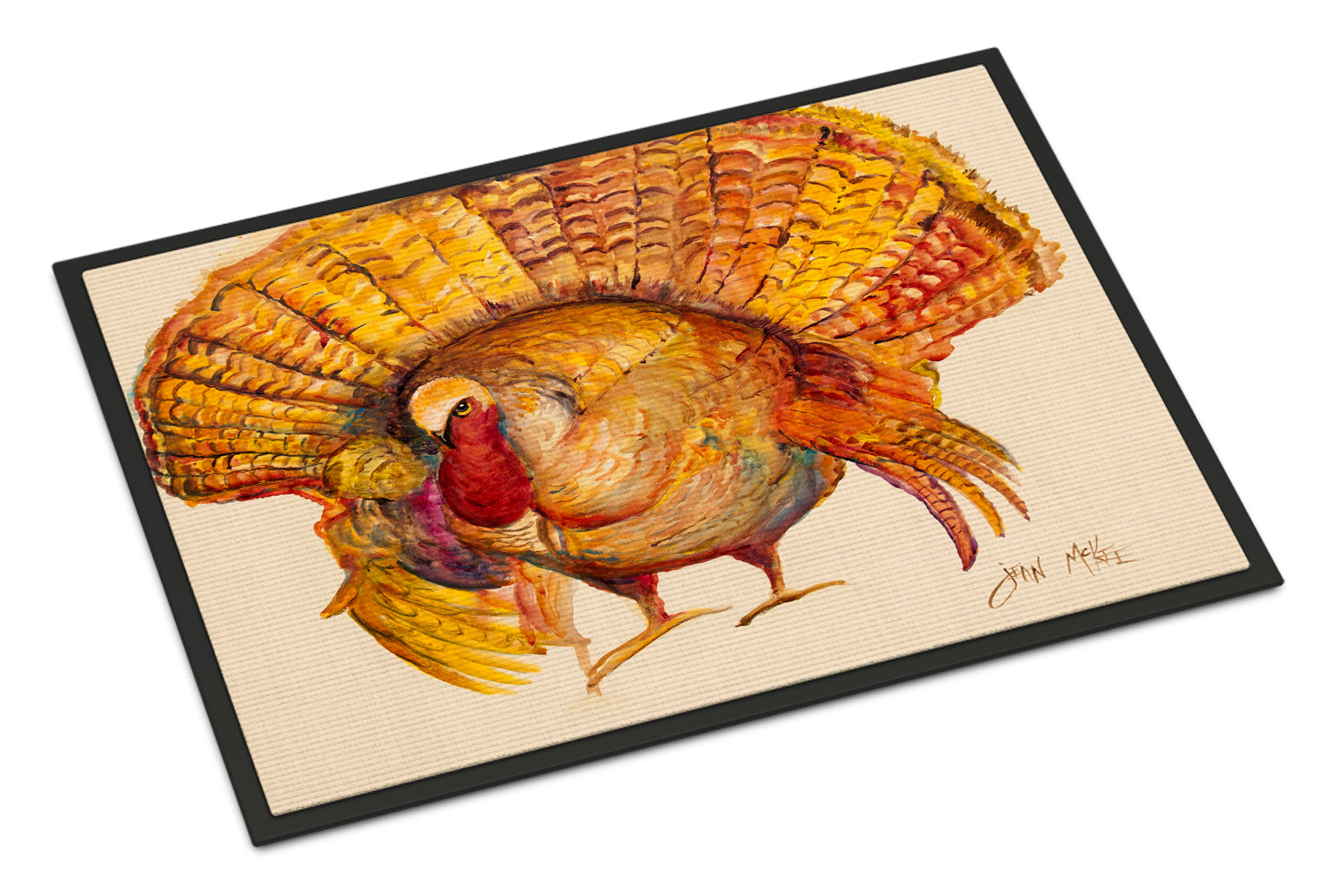 Turkey Doormat Indoor Outdoor 24H X 36W Front Door Mat Rugs for Entryway, Non Slip Washable Low Pile,