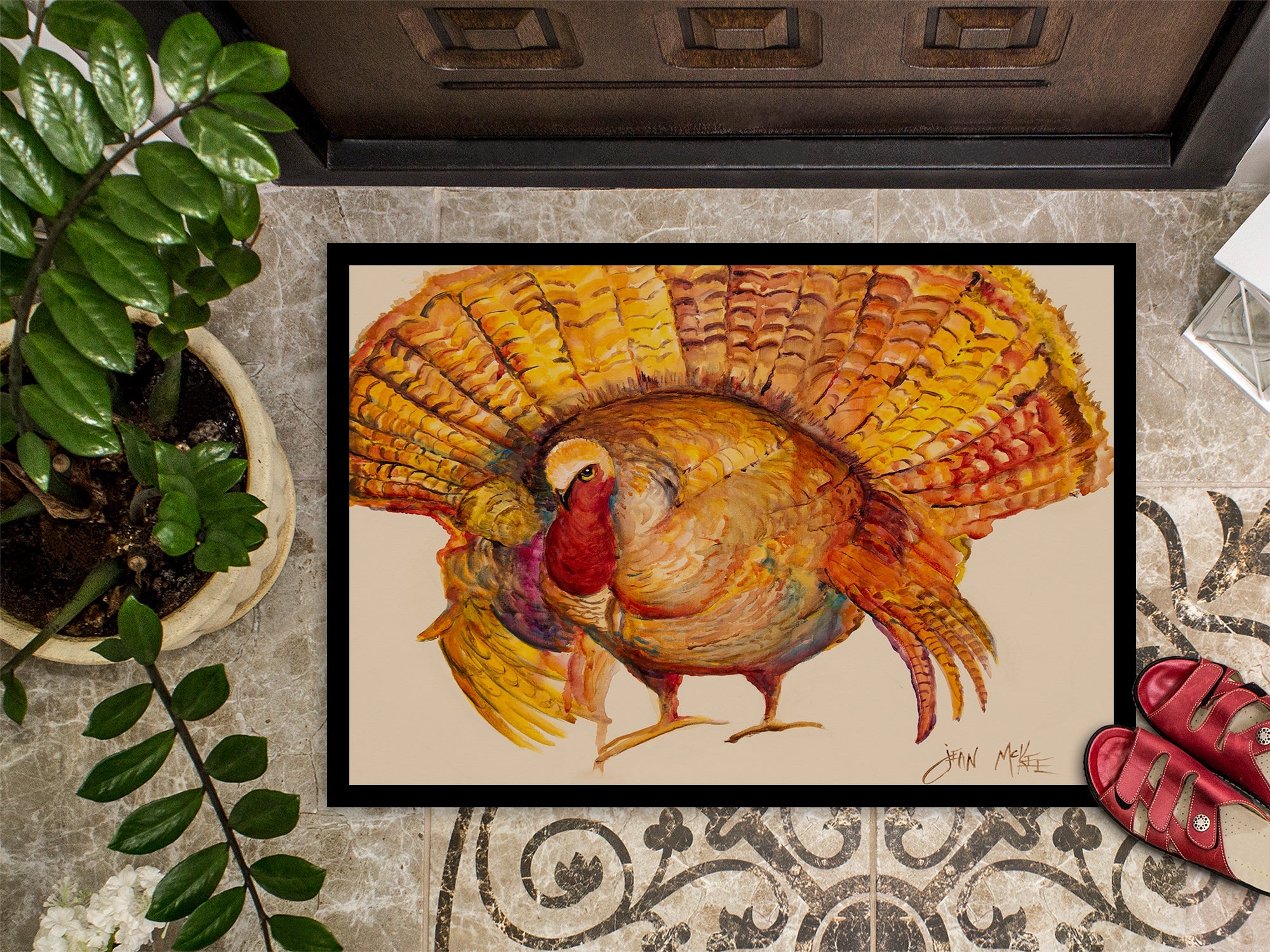 Turkey Doormat Indoor Outdoor 24H X 36W Front Door Mat Rugs for Entryway, Non Slip Washable Low Pile,