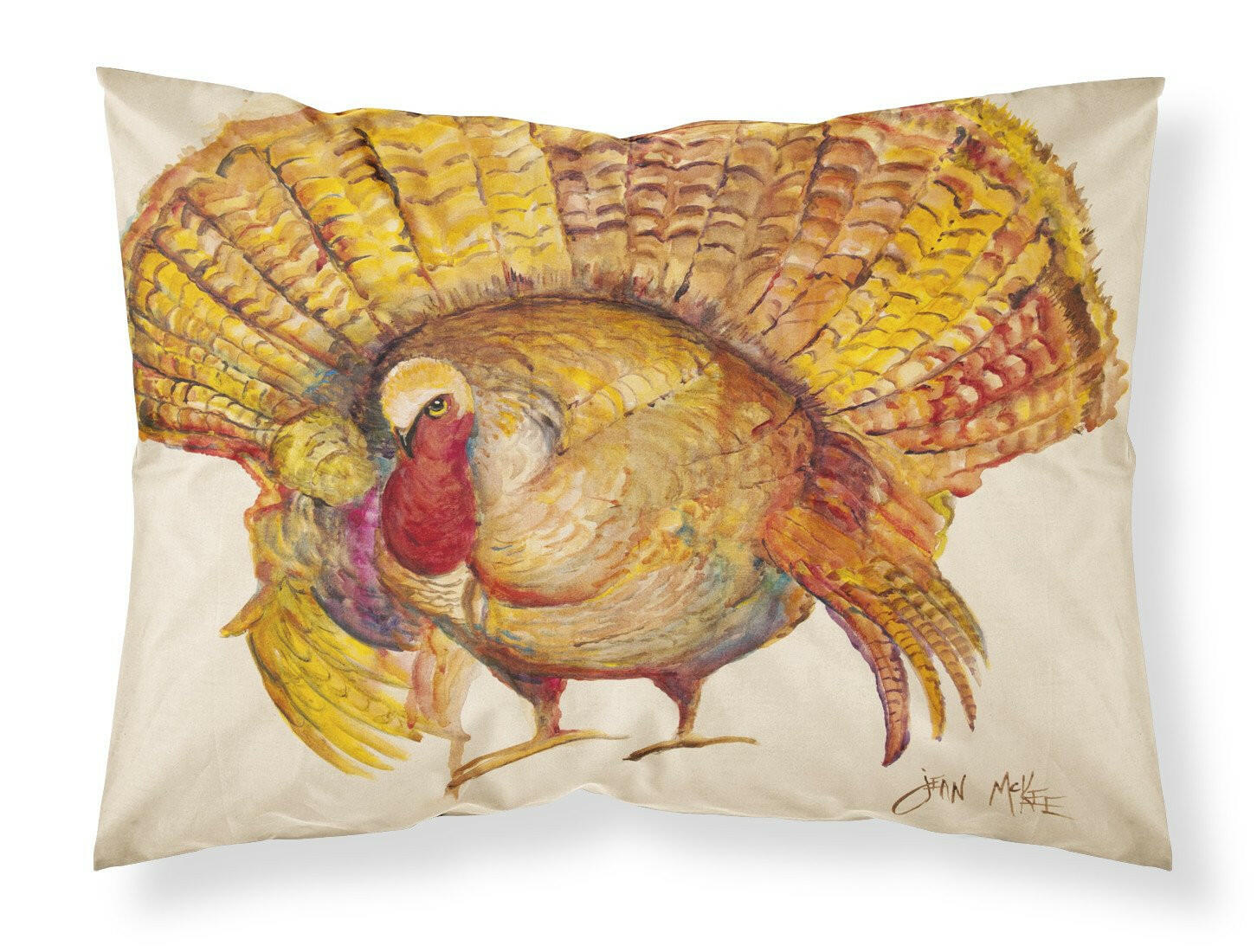 Turkey Standard Pillowcase Lightweight Super Soft Easy Care Decorative Artwork Pillowcase, Standard