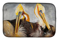 Pelicans Preening Dish Drying Mat Absorbent Dish Drying Mat Pad for Kitchen Counter Dish Drainer Mat for Countertop, 14 x 21", Multicolor