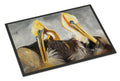 Pelicans Preening Doormat Indoor Outdoor 18H X 27W Front Door Mat Rugs for Entryway, Non Slip Washable