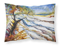 Sand Dune Standard Pillowcase Lightweight Super Soft Easy Care Decorative Artwork Pillowcase, Standard