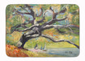 Oak Tree on the Bay with Sailboats Memory Foam Kitchen Mat Machine Washable Anti-Fatigue Cushion Comfort Bath or Kitchen Rug