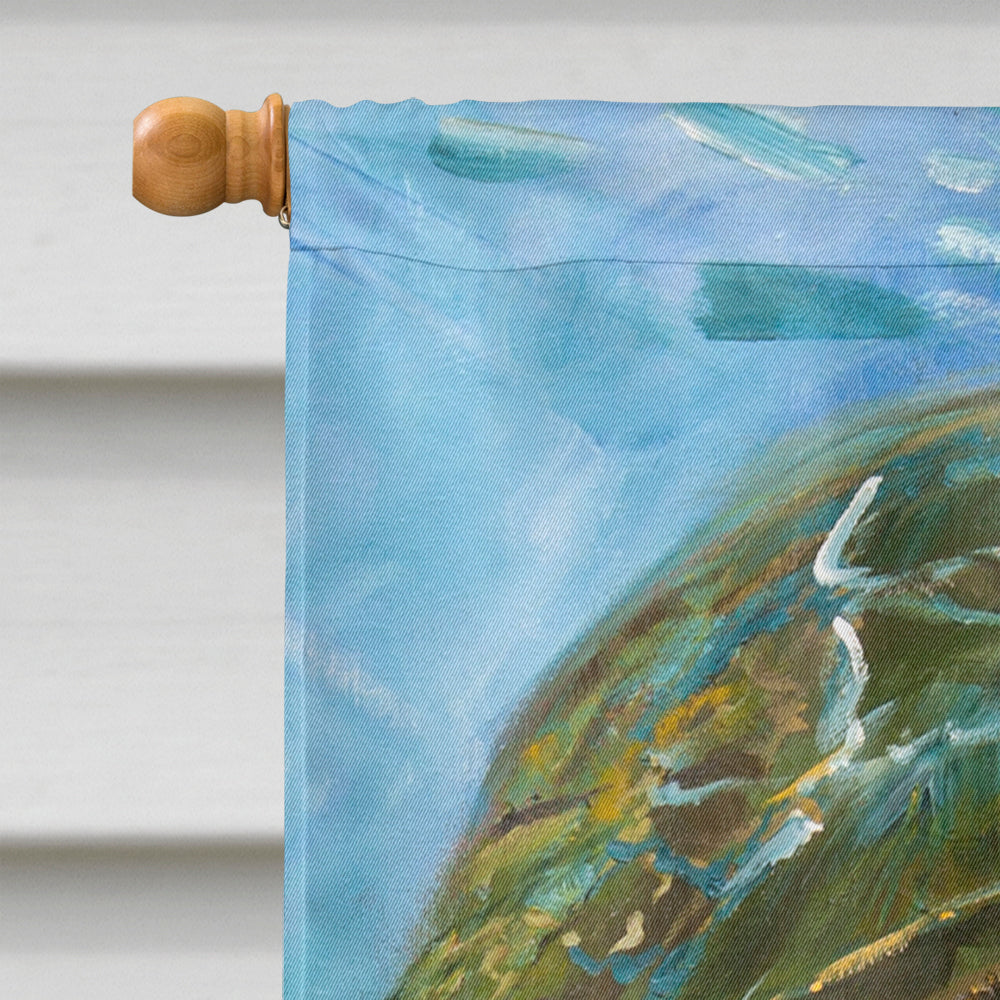 Loggerhead Sea Turtle House Flag 28x40 Porch Sleeve Pole Decorative Outside Yard Banner Artwork Wall Hanging, Polyester